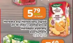 Gama Herbata exp Herbaciany Ogród oferta