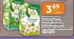 Gama Herbata exp Zielnik Polski oferta