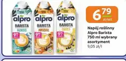 Gama Napój roślinny Alpro Barista oferta
