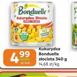 Gama Kukurydza oferta
