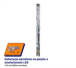 Action Dekoracja ogrodowa na patyku z oświetleniem LED oferta