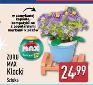 ALDI Klocki storczyki Zuru oferta