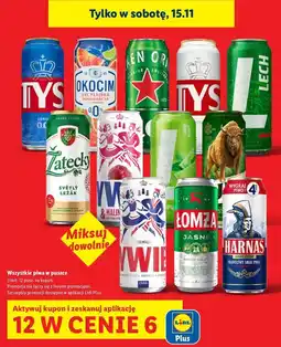 Lidl Piwa w puszce oferta