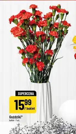 Polomarket Goździki (bukiet - 7 szt.) oferta