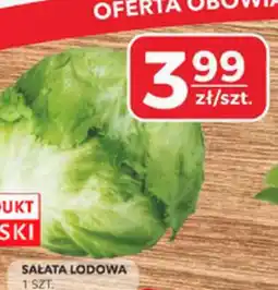 Społem Sałata lodowa oferta
