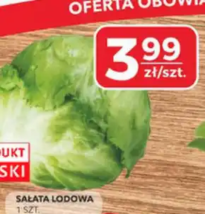 Społem Sałata lodowa oferta