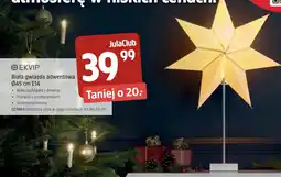 Jula Biała gwiazda adwentowa oferta