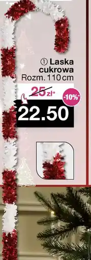 Woolworth Laska cukrowa oferta