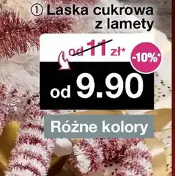 Woolworth Laska cukrowa oferta