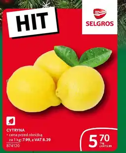 Selgros Cytryna oferta