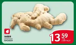 Selgros Imbir oferta