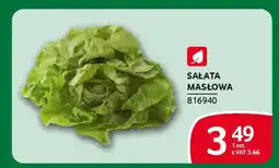 Selgros Sałata masłowa oferta