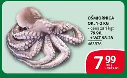 Selgros Ośmiornica oferta