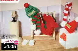 Woolworth Miniaturowa dekoracja oferta