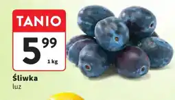 Intermarche Śliwka oferta