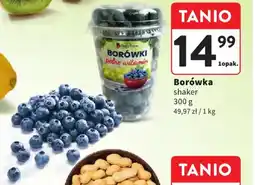 Intermarche Borówka oferta