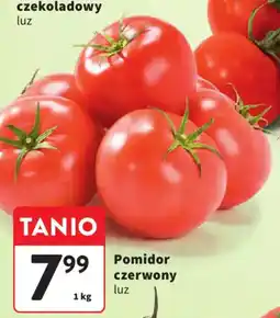 Intermarche Pomidor czerwony oferta