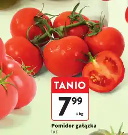 Intermarche Pomidor gałązka oferta