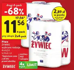 Intermarche Piwo żywiec oferta