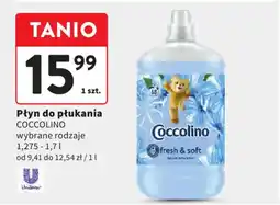Intermarche Płyn do płukania coccolino oferta