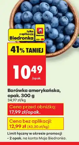 Biedronka Borówka amerykańska oferta