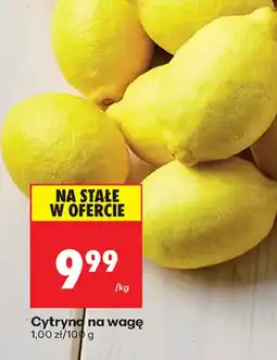 Biedronka Cytryna oferta