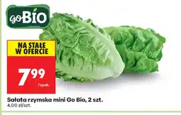 Biedronka Sałata rzymska mini oferta