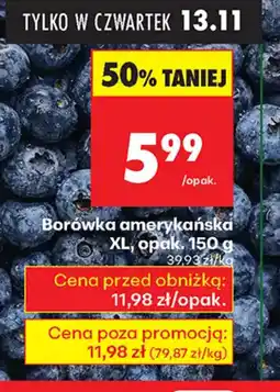 Biedronka Borówka amerykańska oferta