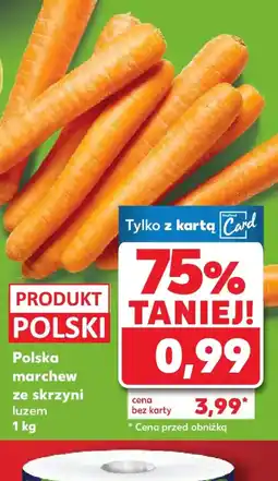 Kaufland Polska marchew oferta