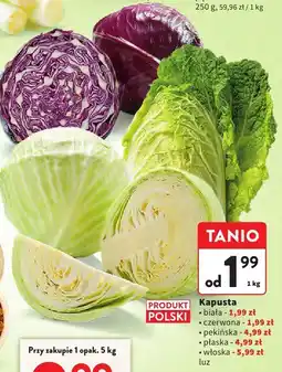 Intermarche Kapusta włoska Intermarche oferta