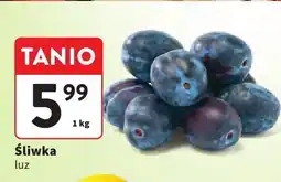 Intermarche Śliwka Intermarche oferta