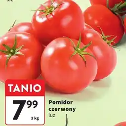 Intermarche Pomidor czerwony Intermarche oferta