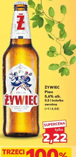 Kaufland ZYWIEC oferta