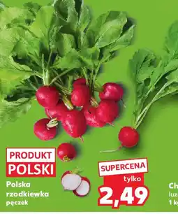 Kaufland Polska rzodkiewka oferta