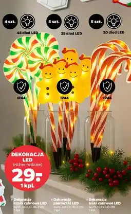 Netto DEKORACJA LED (różne rodzaje) oferta