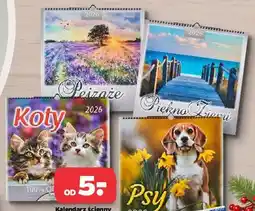 Netto Kalendarz ścienny (różne rodzaje) oferta
