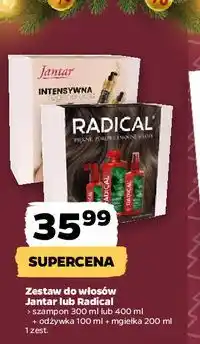Netto Zestaw do włosów Jantar lub Radical oferta