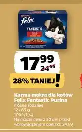 Netto Karma mokra dla kotów Felix Fantastic Purina oferta