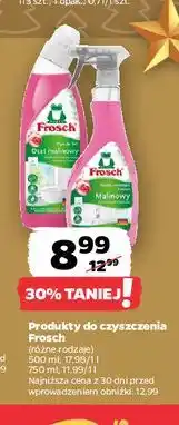 Netto Produkty do czyszczenia Frosch oferta