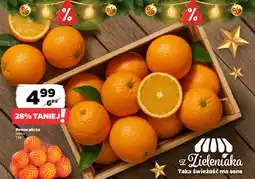 Netto Pomarańcze oferta