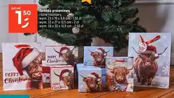 Dealz Torebka prezentowa 39 x 30 13.5 cm oferta