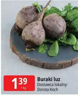 E.Leclerc Buraki oferta