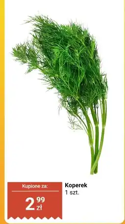 Biedronka Koperek Biedronka oferta