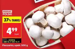 Biedronka Pieczarka, opak. 500 g Biedronka oferta