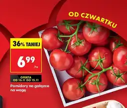 Biedronka Pomidory na gałązce na wagę Biedronka oferta