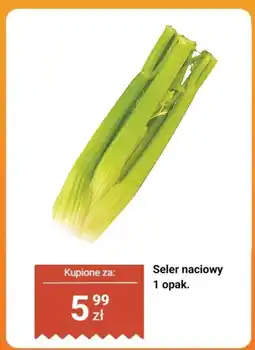 Biedronka Seler naciowy Biedronka oferta