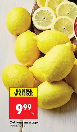 Biedronka Cytryna na wagę Biedronka oferta