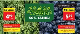 Biedronka Borówka amerykańska XXL Biedronka oferta