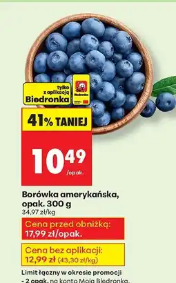 Biedronka Borówka amerykańska Biedronka oferta