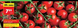 Biedronka Pomidory cherry gałązka Biedronka oferta